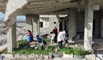 © Ali Haj Hussein © Ali Haj Hussein