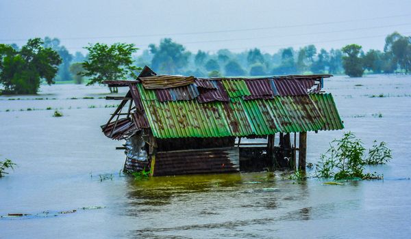 © Shutterstock/neenawat khenyothaa